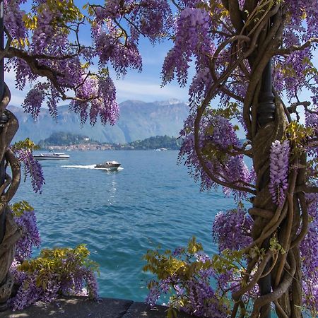 Appartamento Como Lake Modern Apartament Ulivi Mezzegra Esterno foto