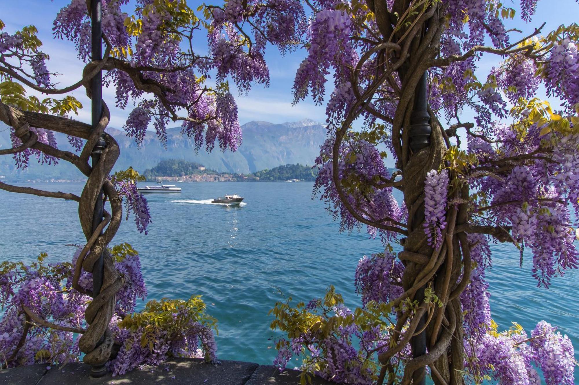 Appartamento Como Lake Modern Apartament Ulivi Mezzegra Esterno foto